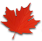 Autumn Web Solutions
